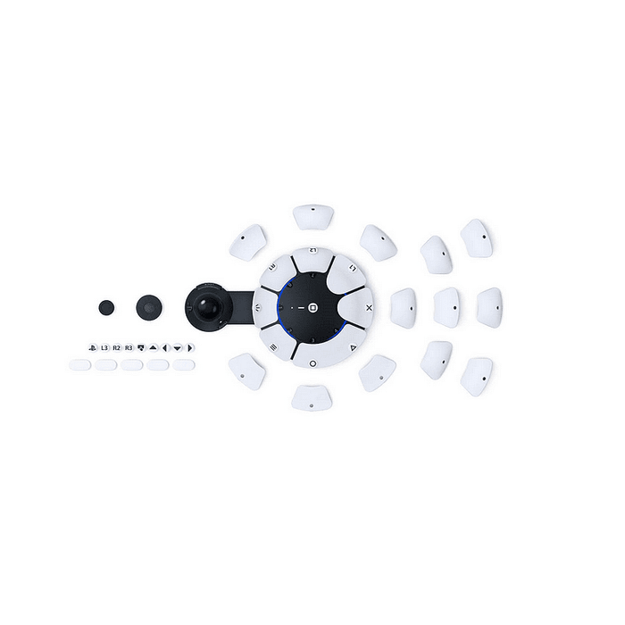 PlayStation Access Joystick