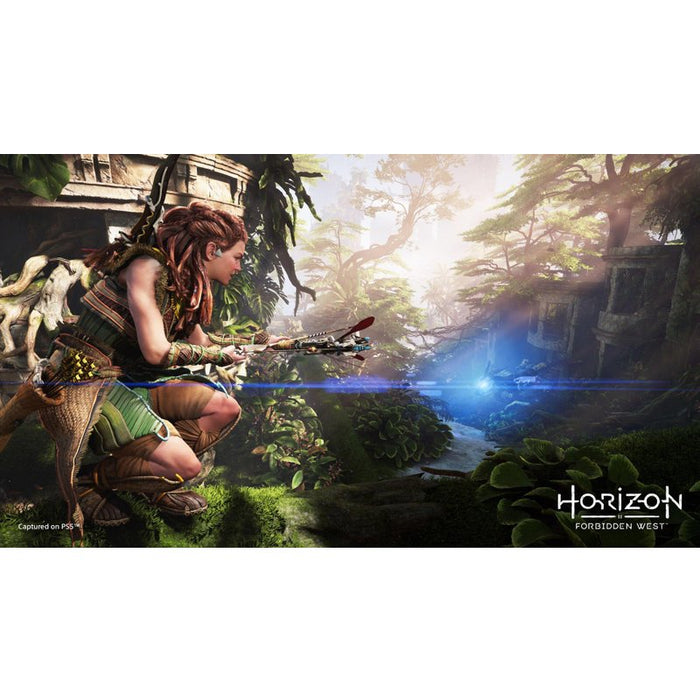 Horizon Forbidden West Game (PS4)