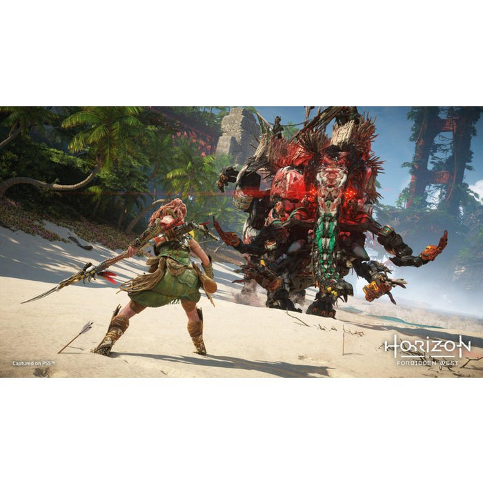 Horizon Forbidden West Game (PS4)