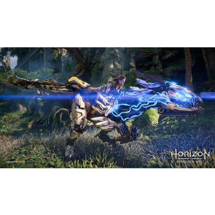 Horizon Forbidden West Game (PS4)