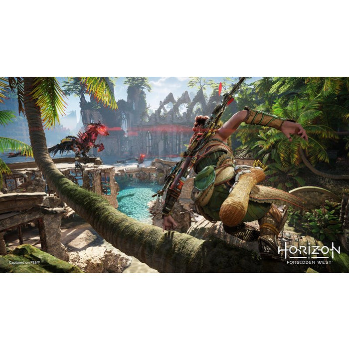 Horizon Forbidden West Game (PS4)