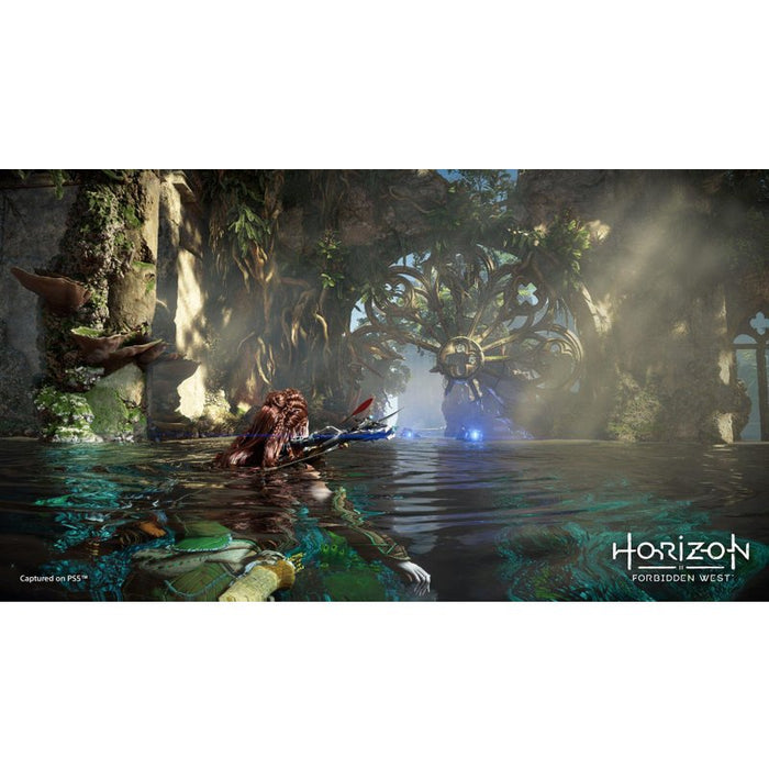 Horizon Forbidden West Game (PS4)