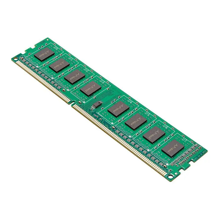 PNY 8GB PC3-12800 1600MHz DDR3 memory module 1 x 8 GB - DIMM (DDR III)PAM-DR3<<<Memory devicesPAM<<<ActionPL