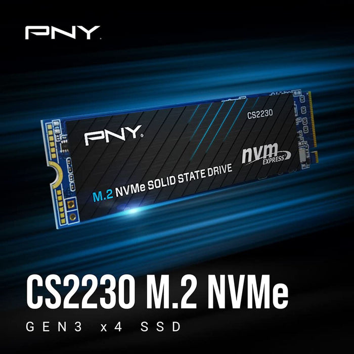 Hard Drive PNY CS2230 500 GB SSD
