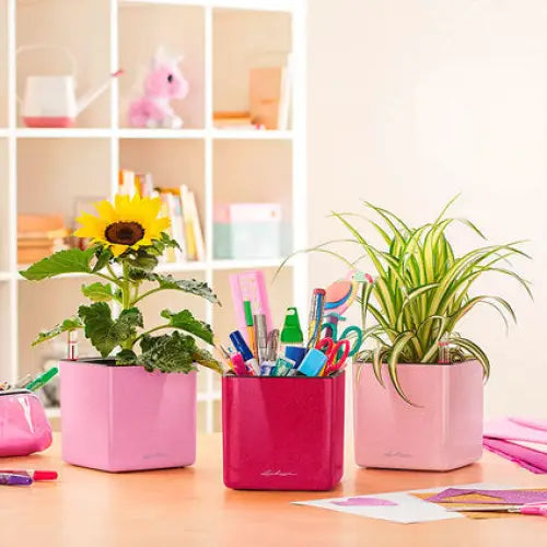 POT 14X14CM WITH IRRIGATION SYSTEM LECHUZA CUBE GLOSSY - Саксии<<<Саксии кашпи и