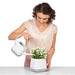 POT 17X17CM WITH IRRIGATION SYSTEM LECHUZA YULA - Саксии<<<Саксии кашпи и