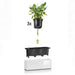 POT 40X14CM WITH IRRIGATION SYSTEM LECHUZA CUBE GLOSSY TRIPLE - Саксии<<<Саксии кашпи и