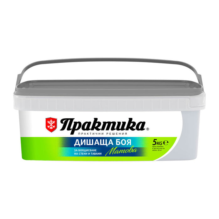 INTERIOR PAINT COLOR SILVER 5 KG PRAKTIKA