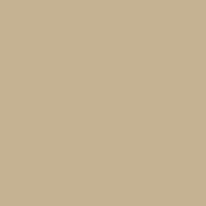 FACADE PAINT COFFEE 4.5 KG PRAKTIKA