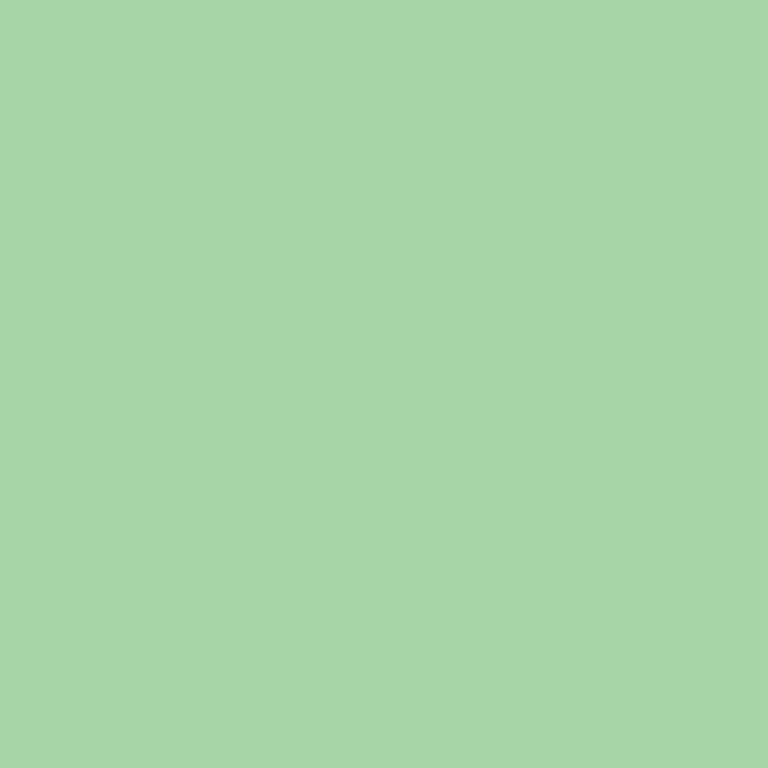 FACADE PAINT AVOCADO 4.5 KG PRAKTIKA