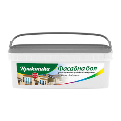 FACADE PAINT WHITE 4.5 KG PRAKTIKA