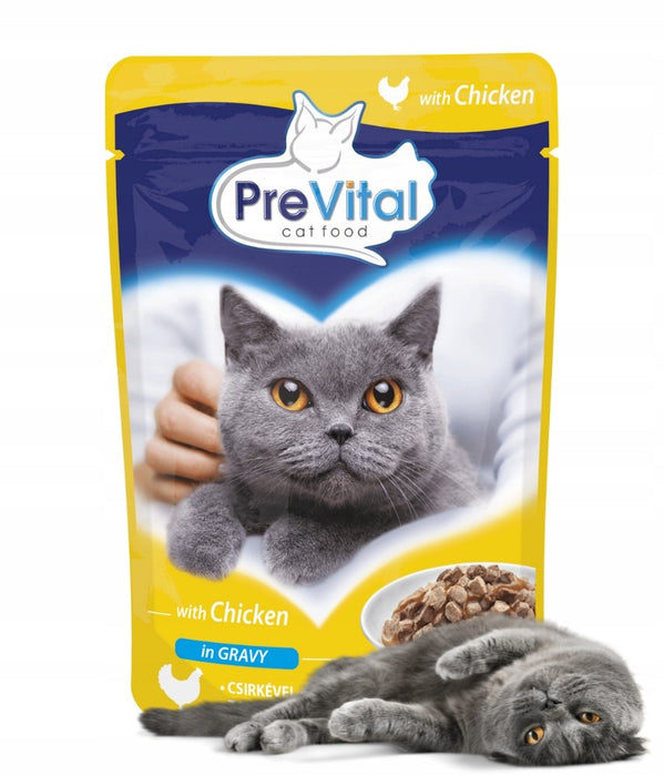 PREVITAL Chicken in gravy - wet cat food - 100g