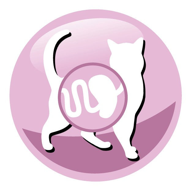 PREVITAL Senior Salmon - dry cat food - 1,4kg