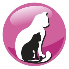 PREVITAL Junior Chicken - dry cat food - 950g