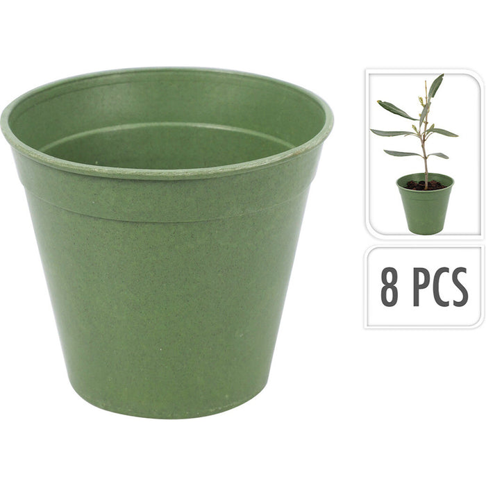 SET OF SEEDLINGS 8PCS PROGARDEN CY8901800