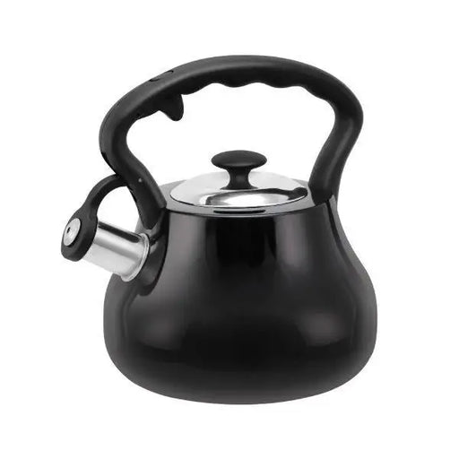 PROMIS Kettle 3.0 L ANDREA matt black black handle - Non-electric kettlesAGD-CZN<<<Home Appliance