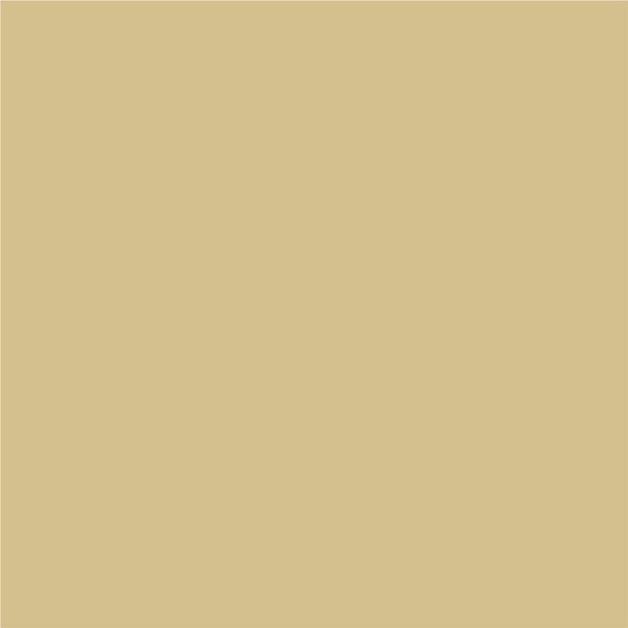 3 IN 1 ENAMEL POLISH 500 ML COLOR LIGHT BEIGE METALLIC PROTECTA
