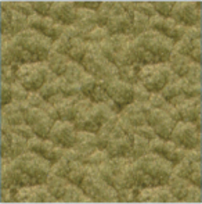 PROTECTA 3B1 0.5 EF GOLD 0.5