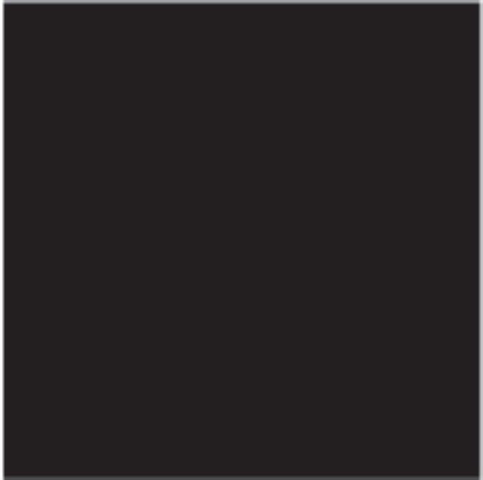 3 IN 1 ENAMEL LACQUER 2.5 L BLACK COLOR PROTECTA