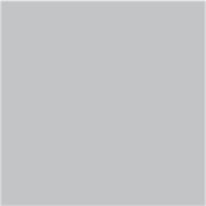 3 IN 1 ENAMEL 2.5 L LIGHT GREY COLOR PROTECTA