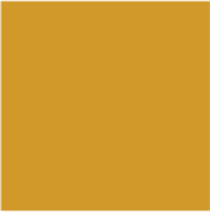 3 IN 1 ENAMEL LACQUER 2.5 L COLOR OLD GOLD PROTECTA