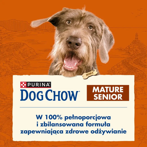PURINA Dog Chow Mature Senior with lamb - dry dog food - 14 kg - Dry foodDLP-KAS<<<For the dogDLP<<<ActionPL