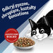 PURINA Felix Countryside Sensations - dry cat food - 1kg - Dry foodDLK-KAS<<<For the catDLK<<<ActionPL