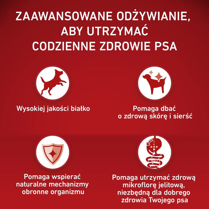 PURINA One Adult Medium/Maxi Rich in lamb with rice - dry dog food - 2,5kg
