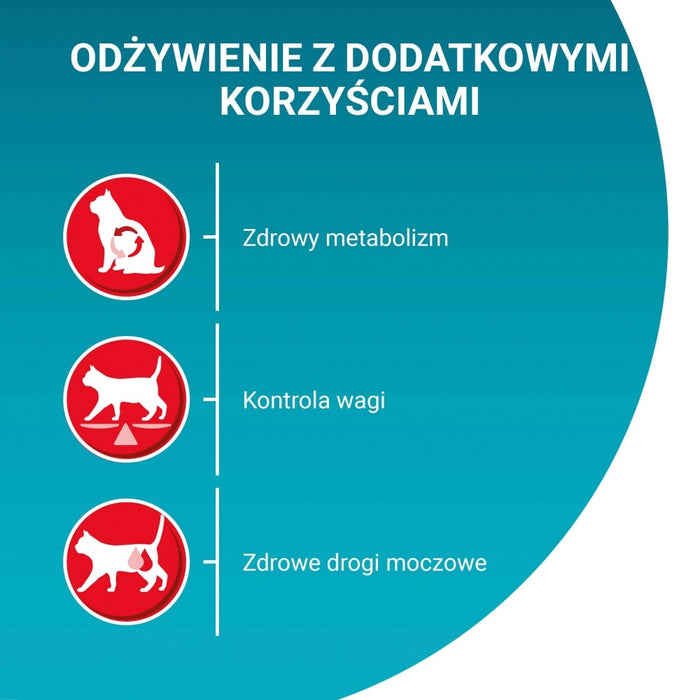 PURINA One Bifensis Sterilcat Beef - dry cat food - 800 g