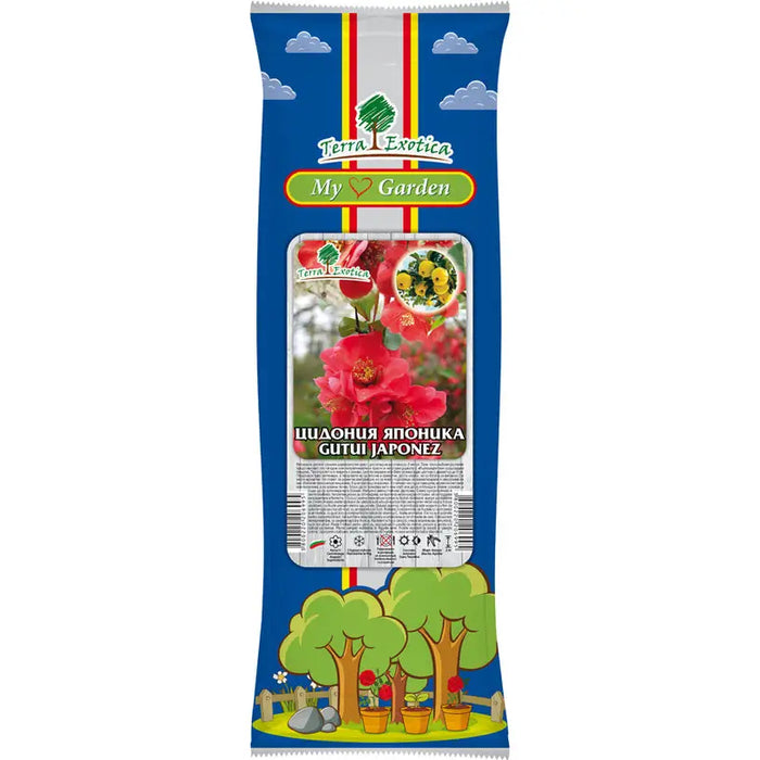 QUINCE ROOT JAPONICA EKZOTIKA - Корени<<<Външни растения<<<Градина<<<Praktiker