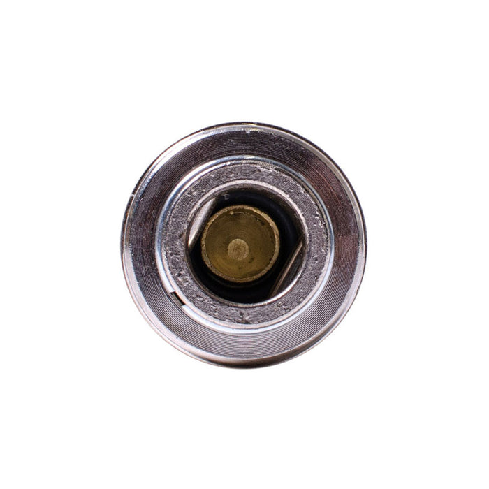 PNEUMATIC TIP WITH QUICK CONNECTION 1/4" Ф6 MM QC07 RAIDER