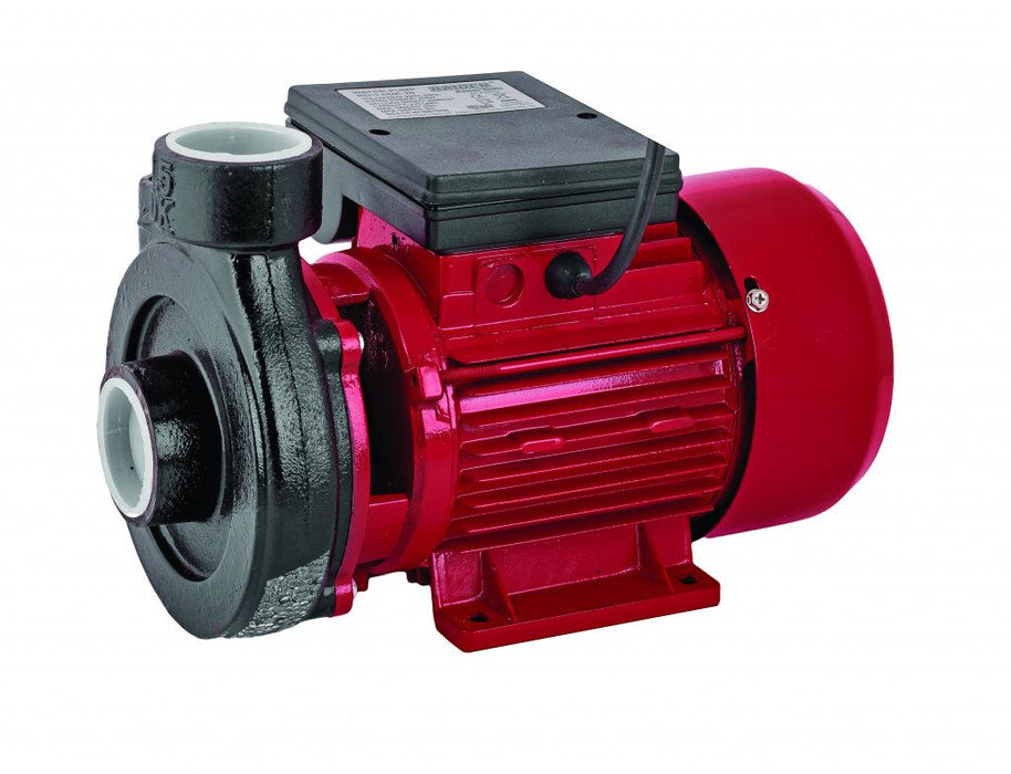 GARDEN PUMP RAIDER RD-1.5DK20