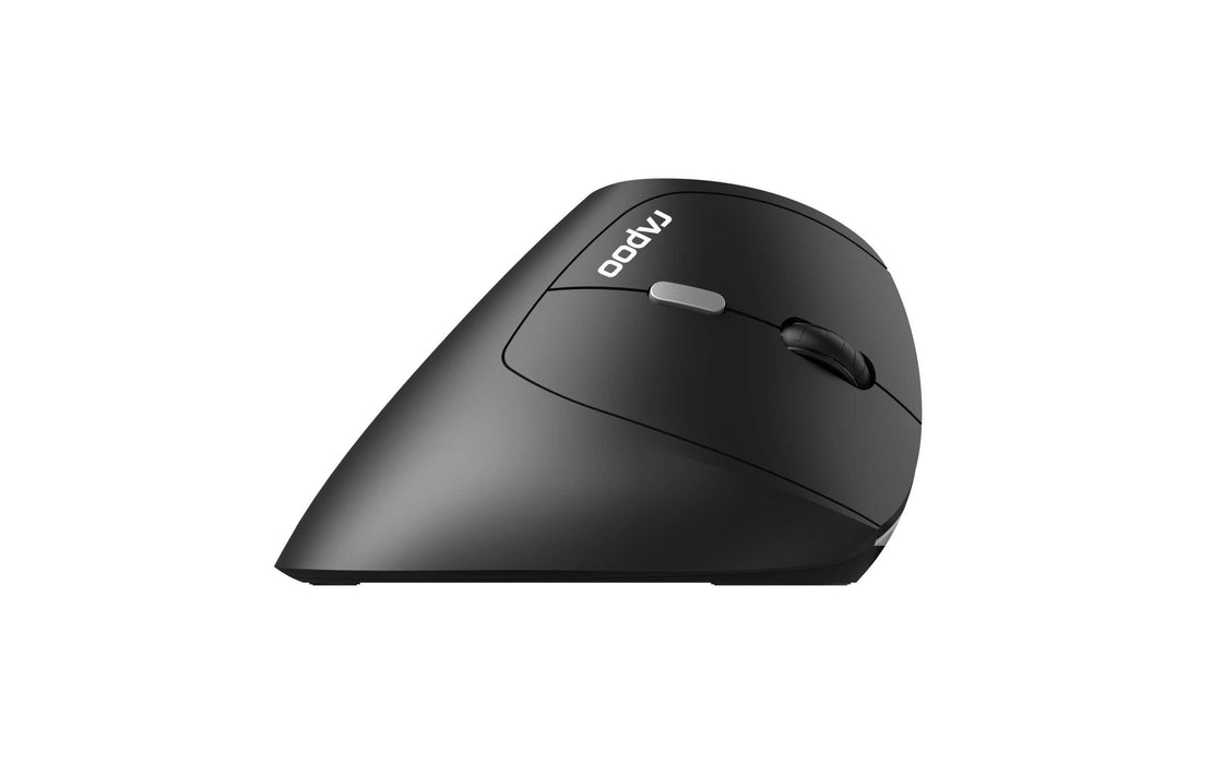 Wireless ergonomic mouse RAPOO EV250