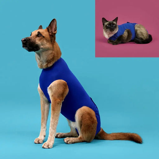 Recovery Vest for Pets KVP 25-29 cm Blue - Домашни Животни<<<Дом Градина<<<BigBuy&&&Здраве и хигиена<<<Домашни