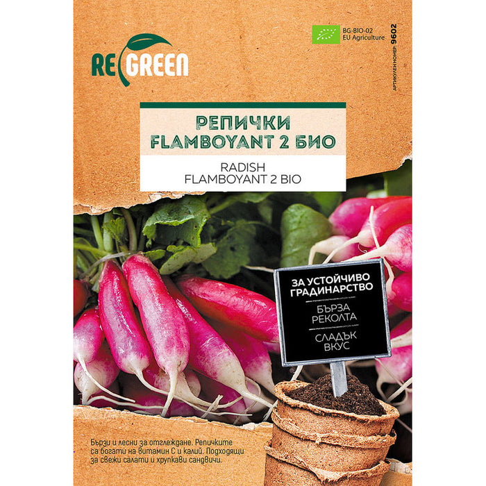 ORGANIC RADISH SEEDS FLAMBOYANT 2 REGREEN