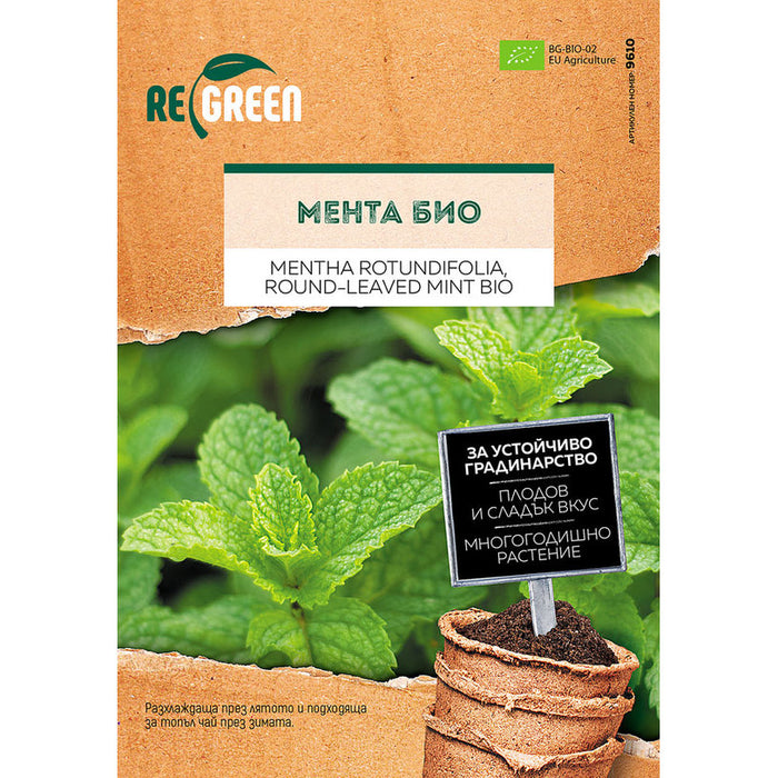 ORGANIC MINT SEEDS REGREEN