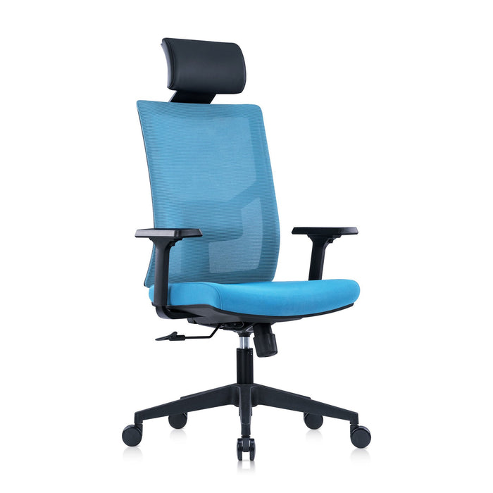 RFG Director's chair Snow Black HB, light blue seat, light blue back