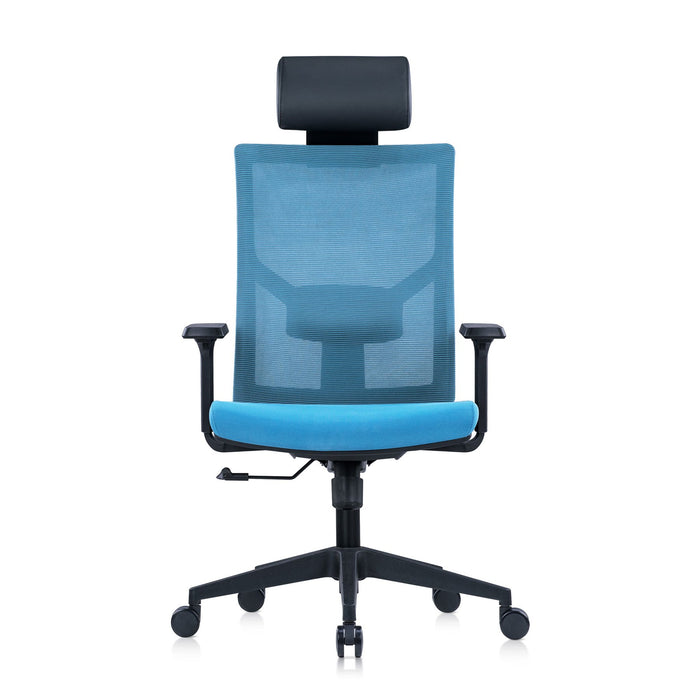 RFG Director's chair Snow Black HB, light blue seat, light blue back