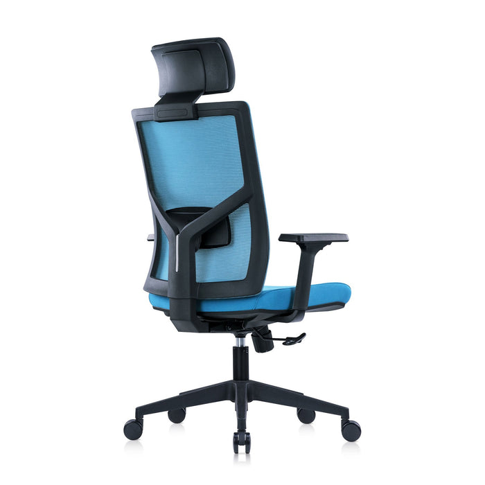 RFG Director's chair Snow Black HB, light blue seat, light blue back