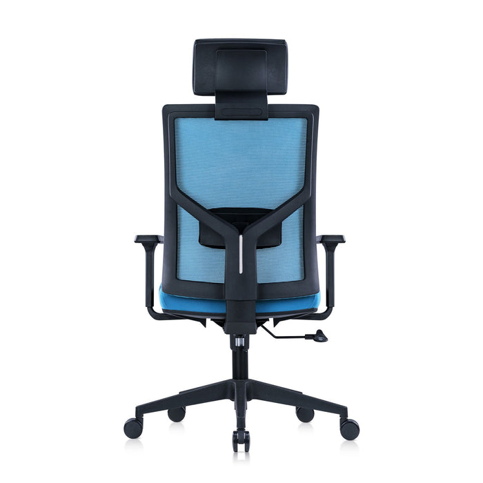RFG Director's chair Snow Black HB, light blue seat, light blue back