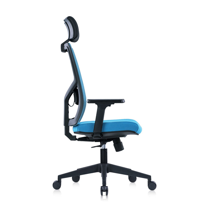 RFG Director's chair Snow Black HB, light blue seat, light blue back