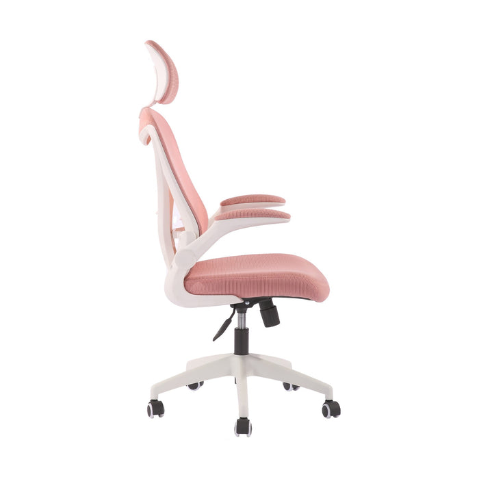 RFG Director's chair Jolly White HB, pink