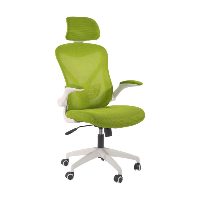 RFG Director's chair Jolly White HB, green