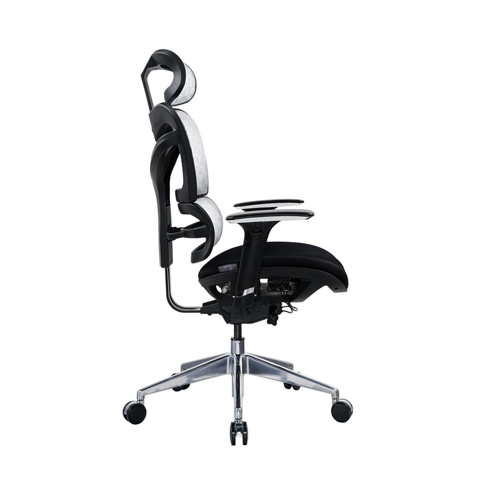 RFG Ergonomic chair TECH@GAMES, black seat, white-black backrest