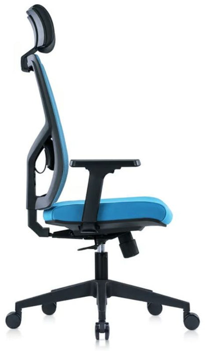 RFG Director's chair Snow Black HB, light blue seat, light blue back