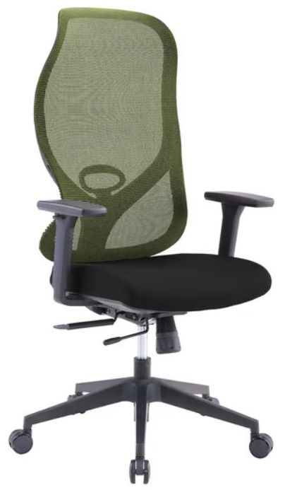 RFG Ergonomic chair STAR HB, black seat, green backrest