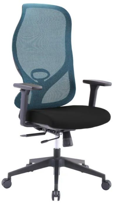 RFG Ergonomic chair STAR HB, black seat, blue backrest