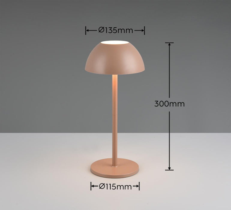 LED TABLE LAMP RICARDO 1.7W COFFEE