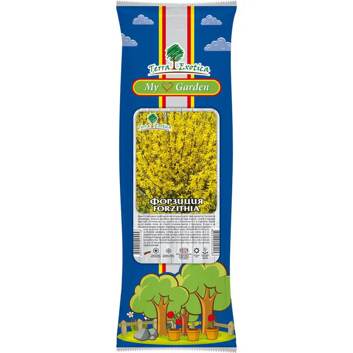 ROOT FORSITATION EKZOTIKA - Корени<<<Външни растения<<<Градина<<<Praktiker
