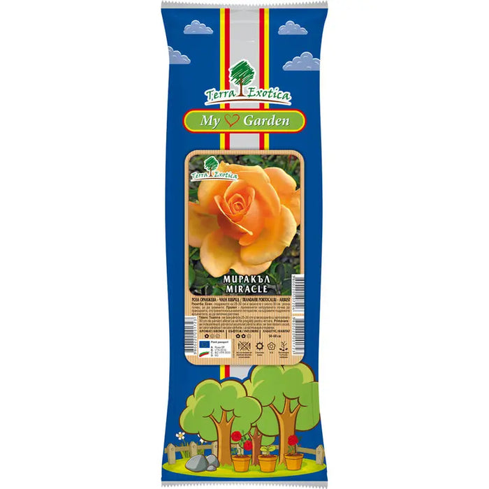 ROOT ROSE TEA HYBRID EKZOTIKA - Корени<<<Външни растения<<<Градина<<<Praktiker